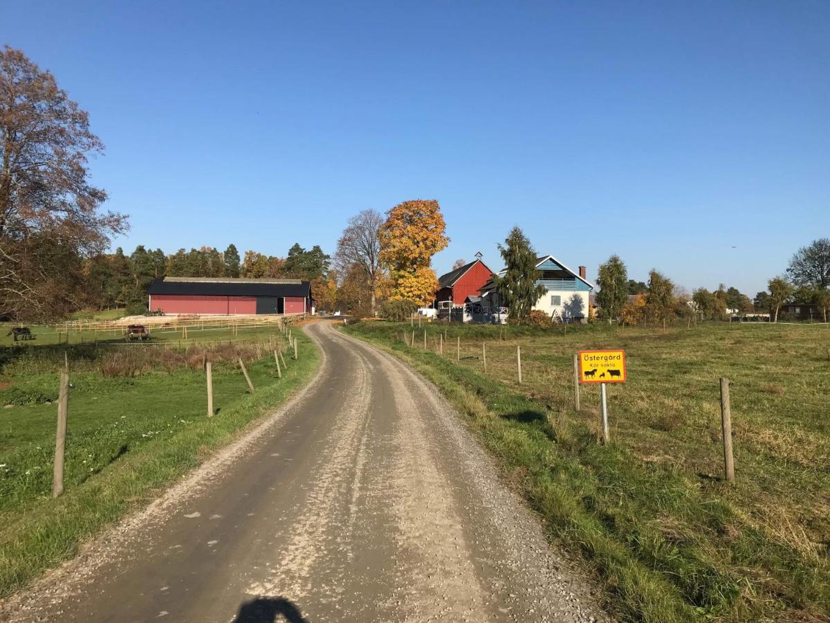 Stegemans Horse Hotel And Country Lodge Ljungby  Exterior foto