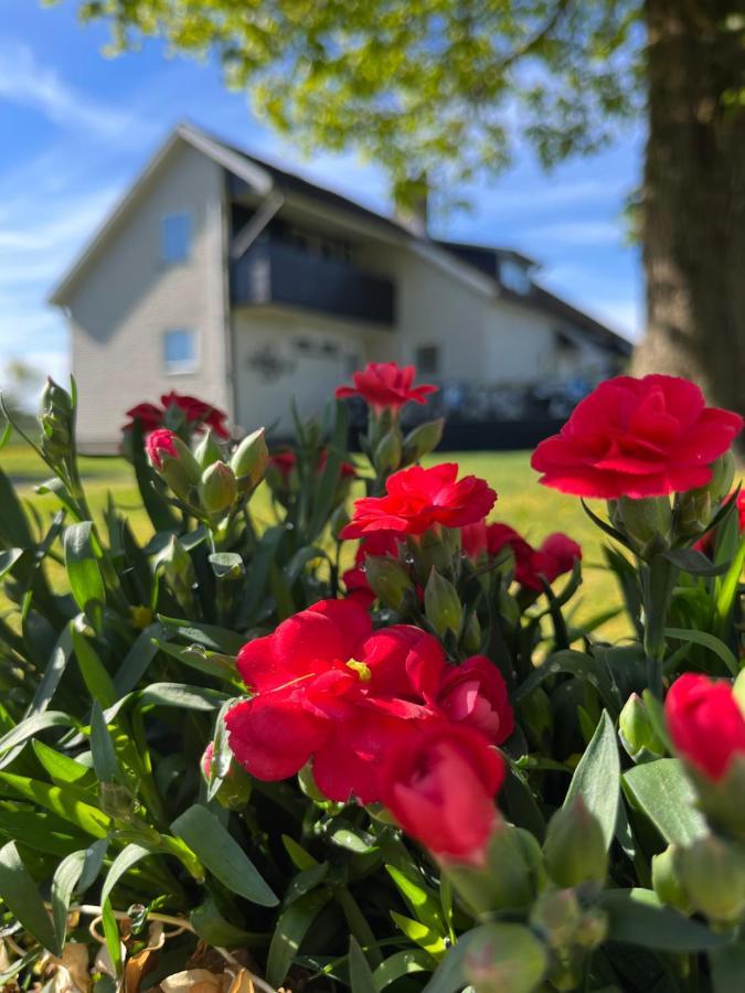 Stegemans Horse Hotel And Country Lodge Ljungby  Exterior foto